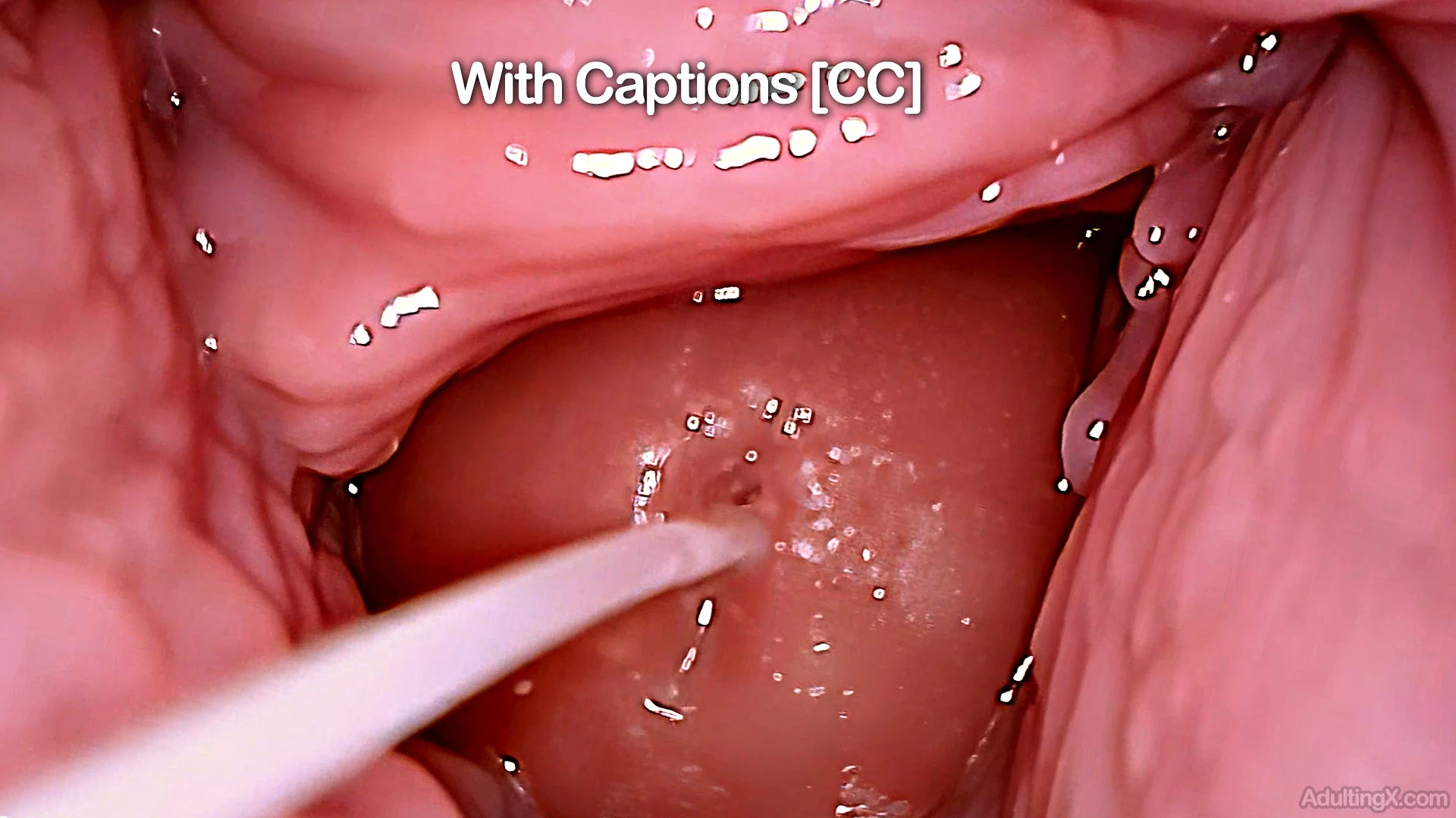 Creampie Me Over and Over CC