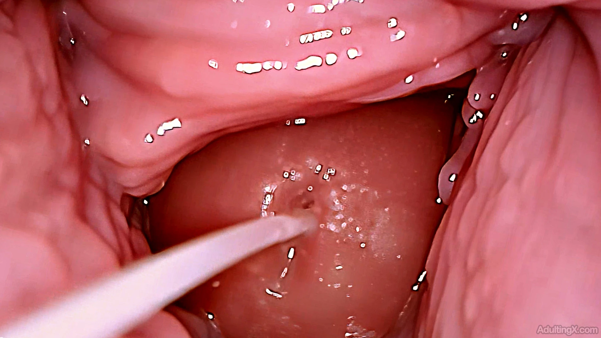 Creampie Me Over and Over