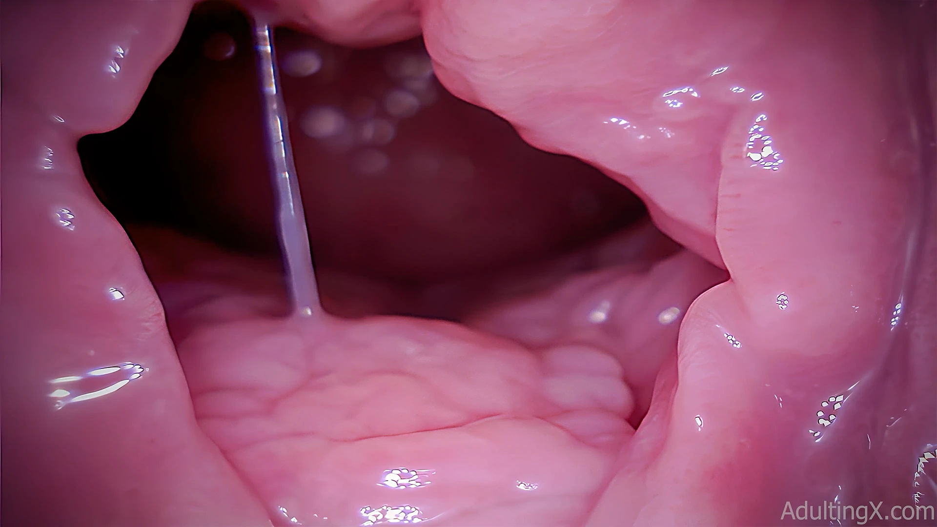 Enchanting Immersion, Pulsing Cervix 4K