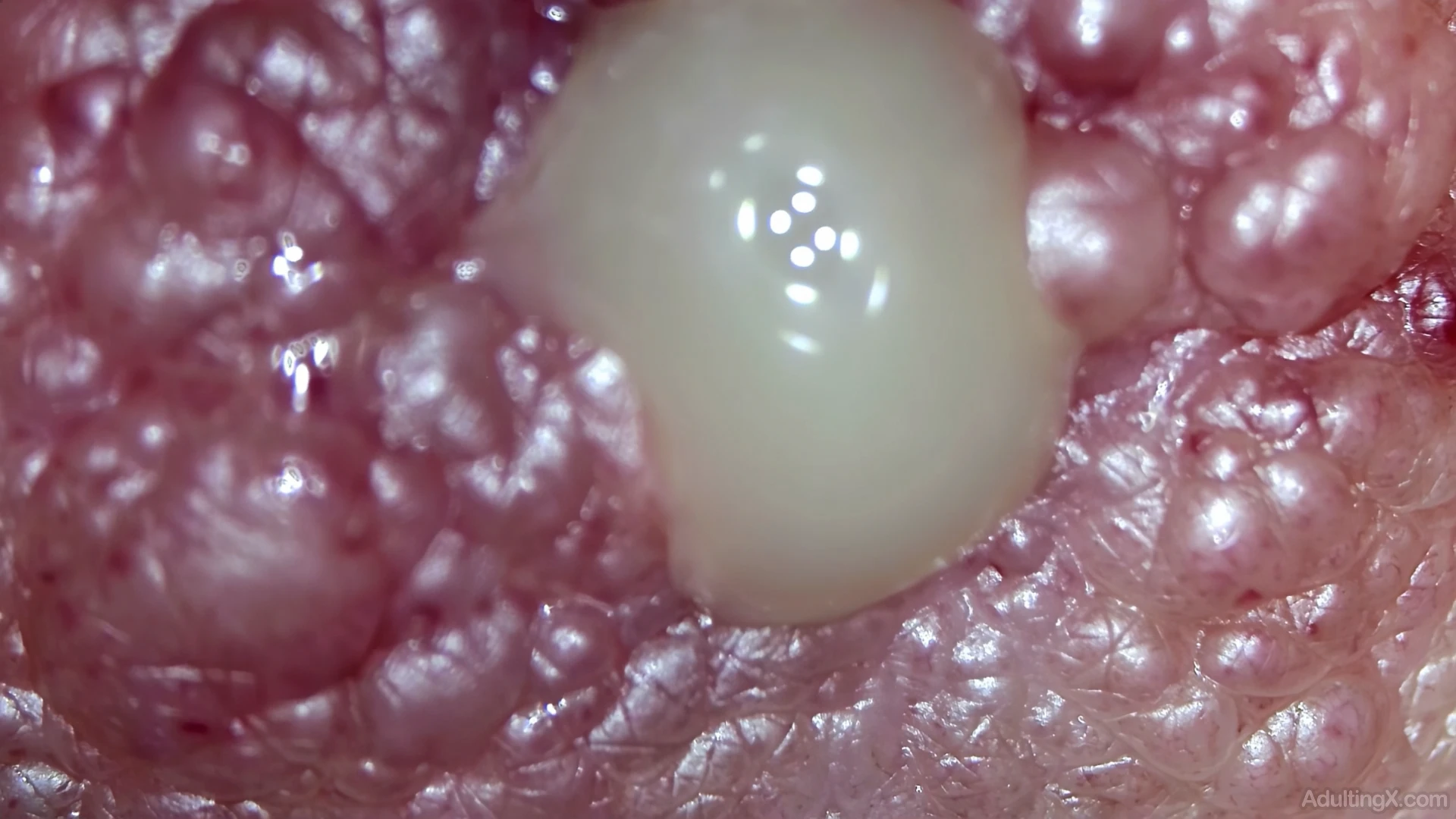 Titty Juice Expression Ultra Close-Up