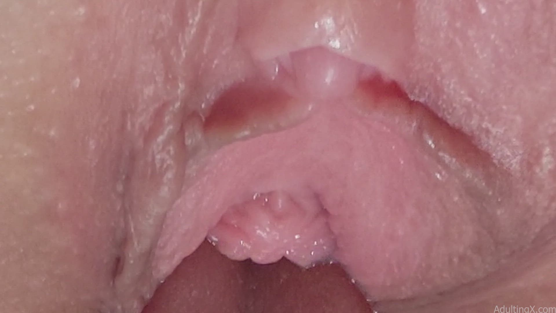 POV Lick Pussy Closeup 4K