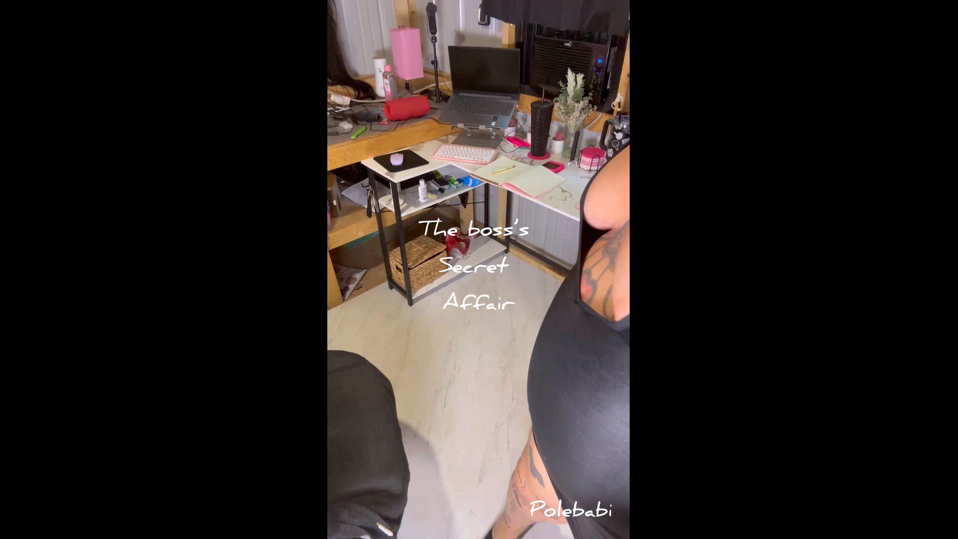 The Boss's Secret Affair