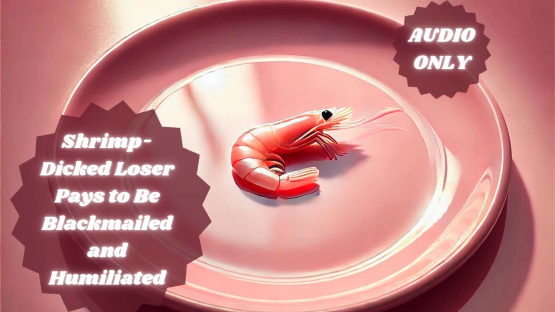 Shrimp-Dicked Loser Pays to Be forbidden and Humiliated | SPH + FEMDOM |